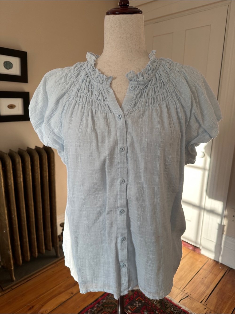 J. Crew Light Blue Button Down Cotton Peasant Top